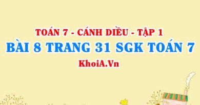 Bài 8 trang 31 SGK Toán 7 tập 1 Cánh Diều